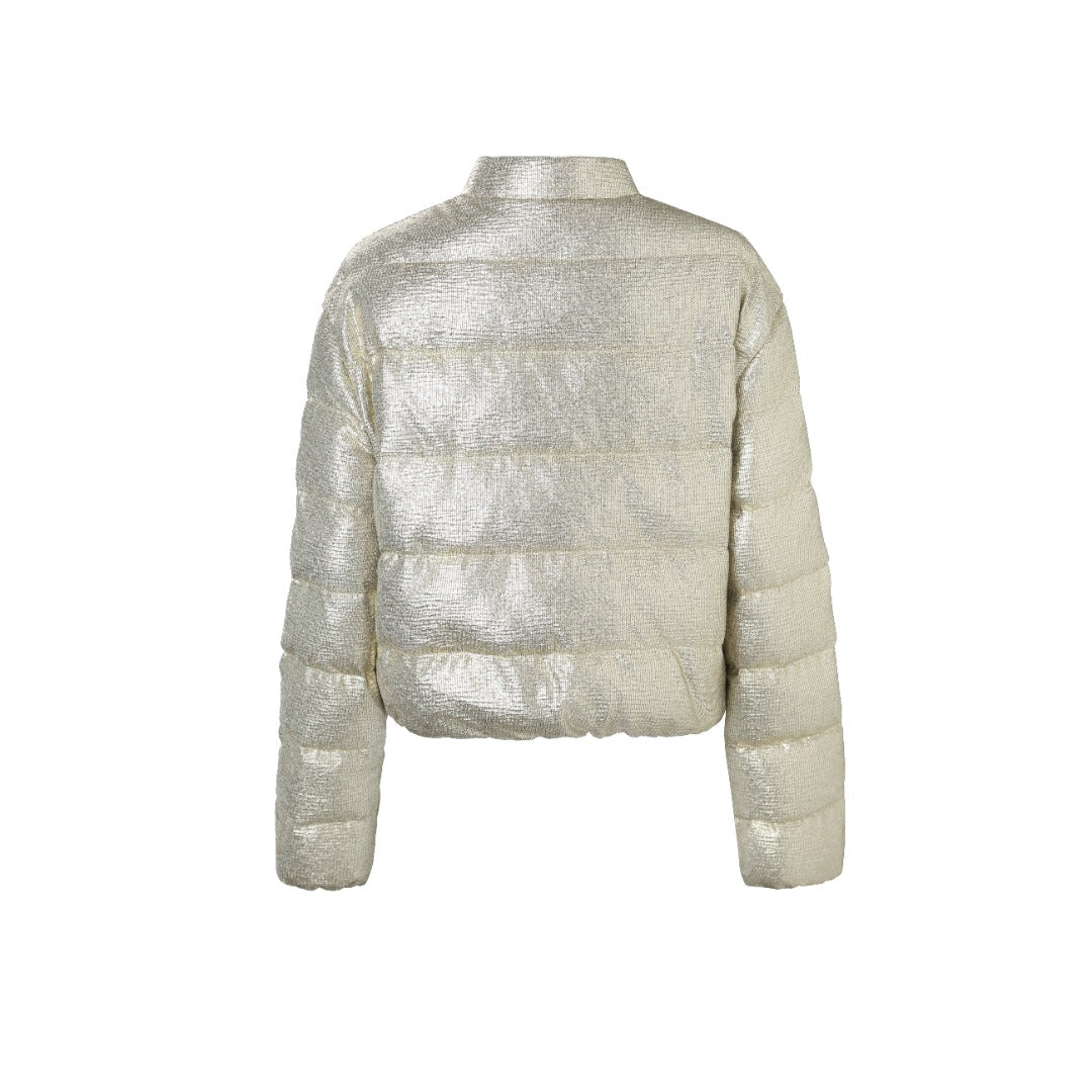 Moncler Women's Men's Shiny Stand Collar Cropped Down Jacket - Silver