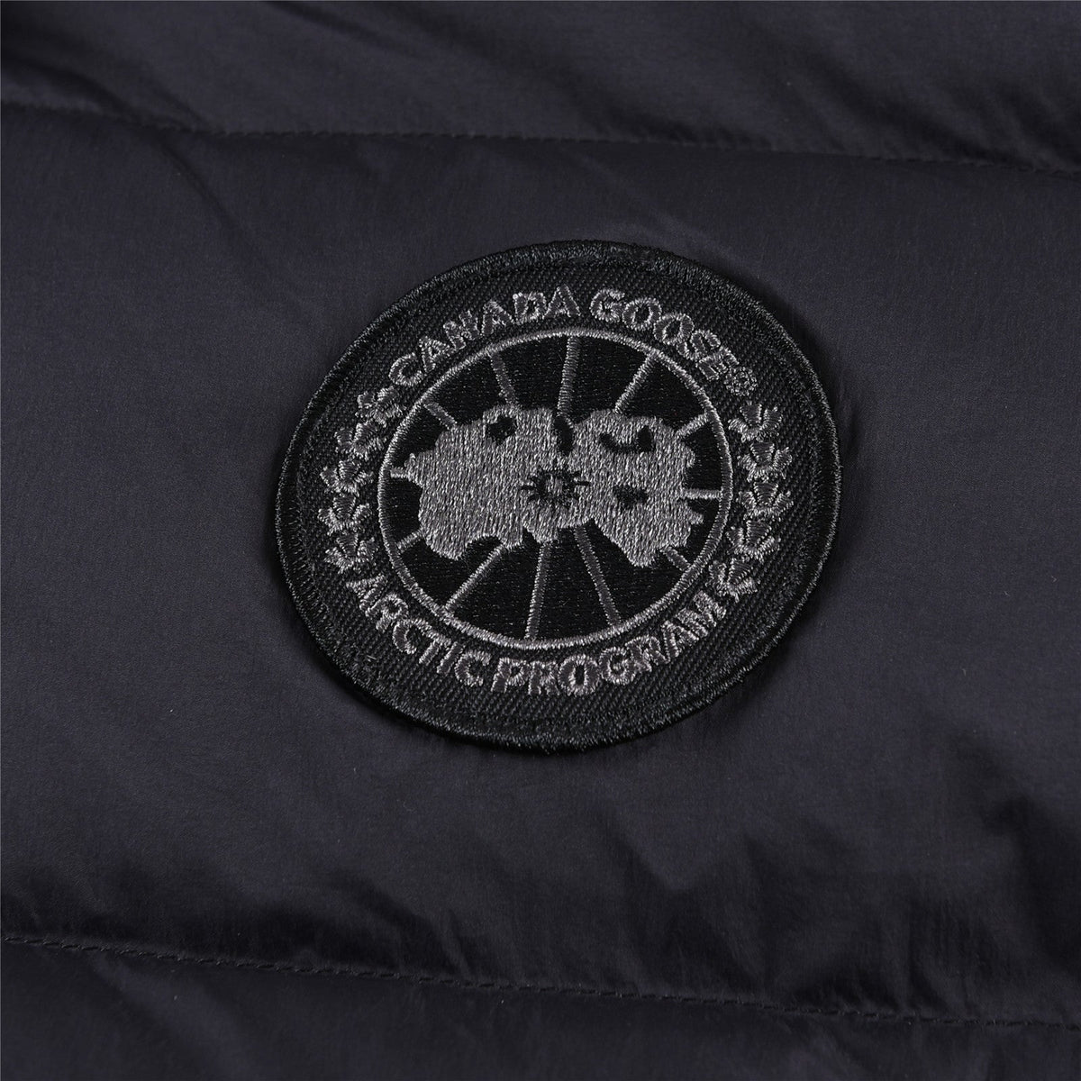 Canada Goose Women's Men's Black Label Hooded Down Jacket - Black