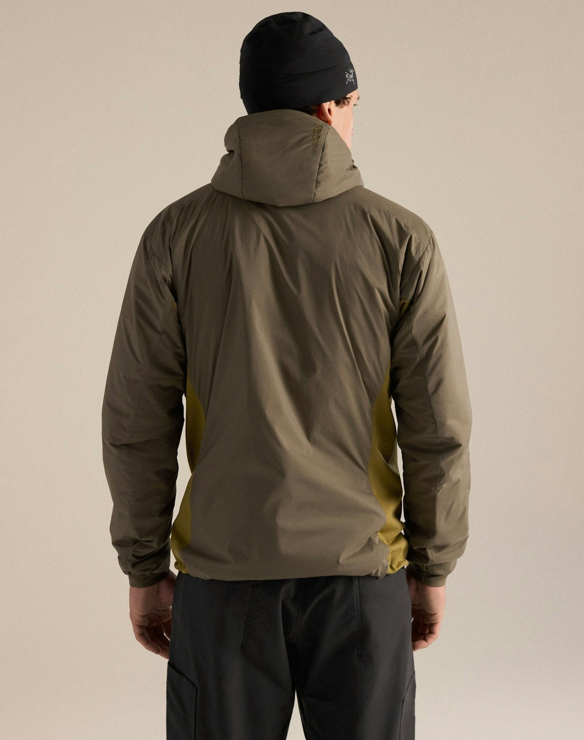 Arc'teryx Men's Atom Hoody | Tatsu