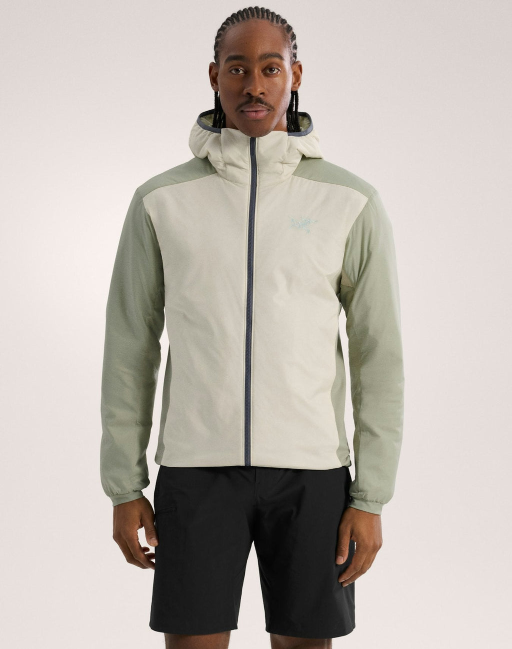 Arc'teryx Men's Atom Hoody | White Birch / Chloris