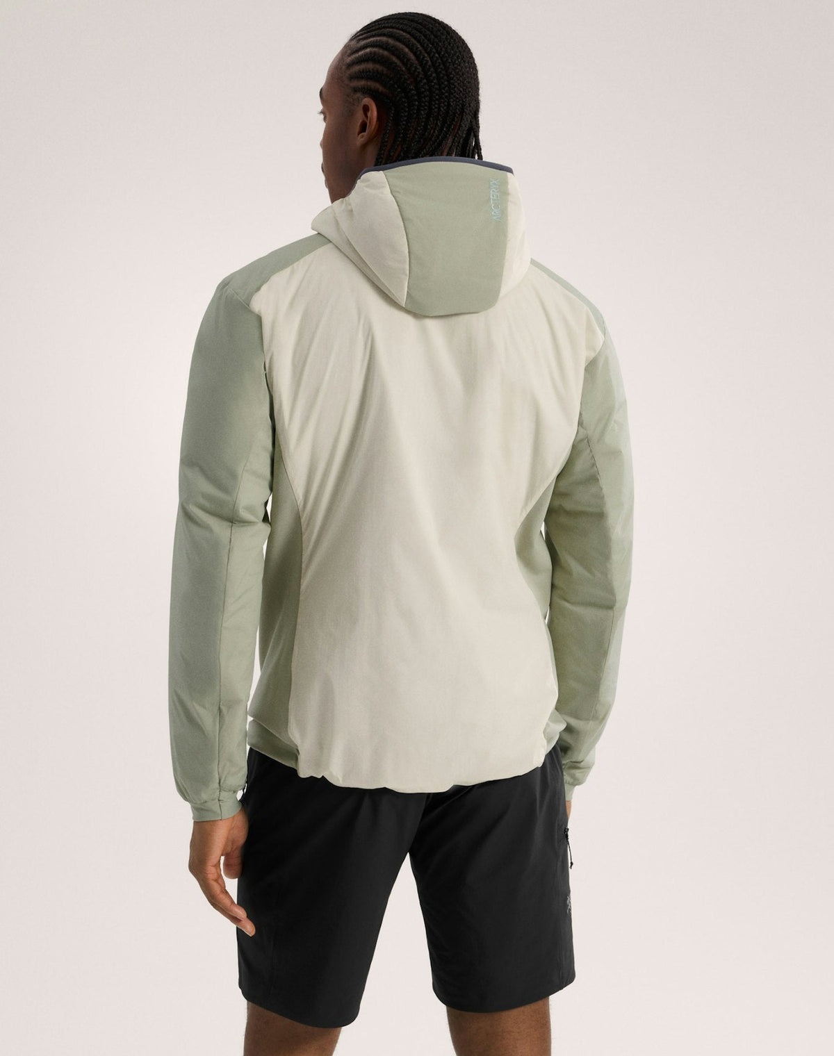 Arc'teryx Men's Atom Hoody | White Birch / Chloris