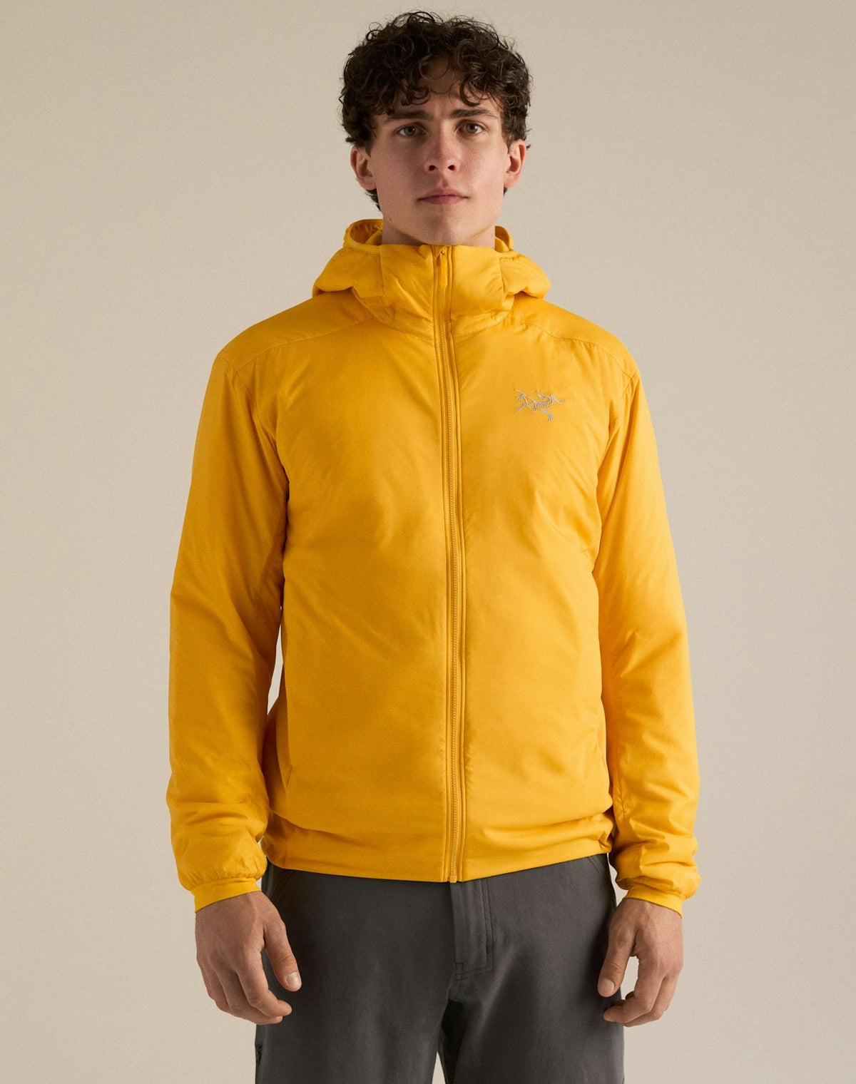 Arc'teryx Men's Atom Hoody | Sulphur