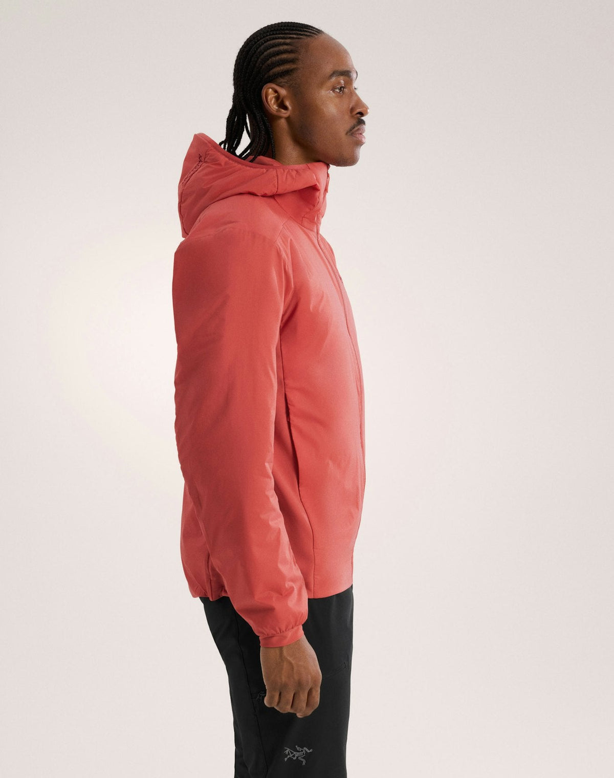 Arc'teryx Men's Atom Hoody | Solaris