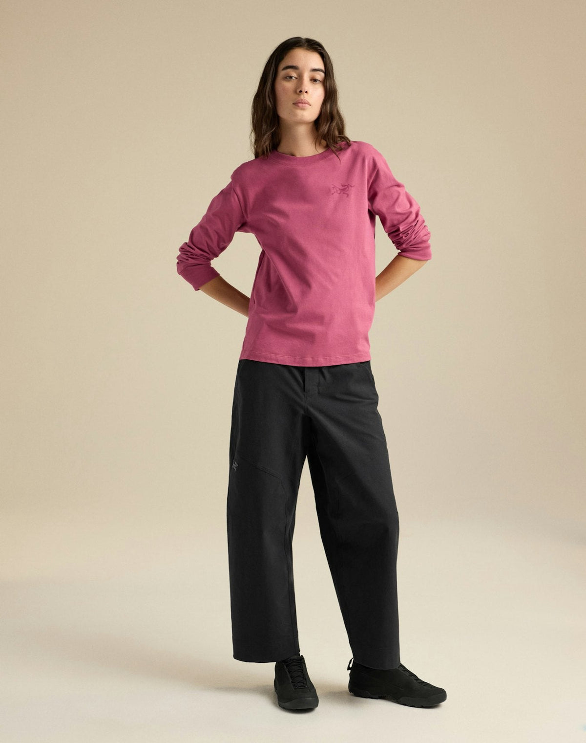 Arc'teryx Kragg Cotton Bird Crew Long Sleeve T-Shirt | Women's