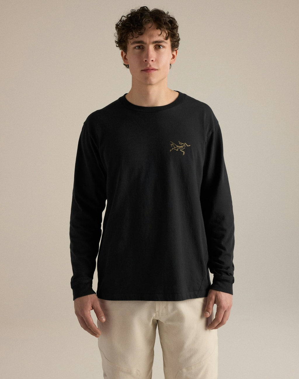 Arc'teryx Kragg Cotton Bird Crew Long Sleeve T-Shirt | Men's
