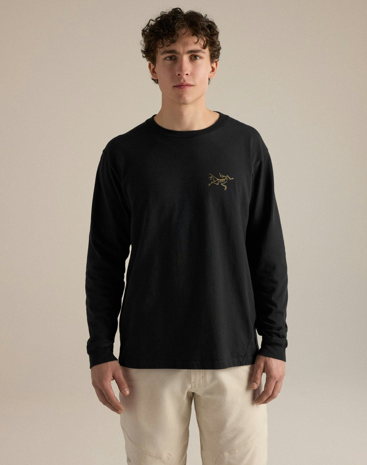 Arc'teryx Kragg Cotton Bird Crew Long Sleeve T-Shirt | Men's