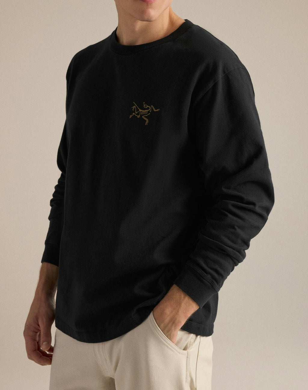 Arc'teryx Kragg Cotton Bird Crew Long Sleeve T-Shirt | Men's