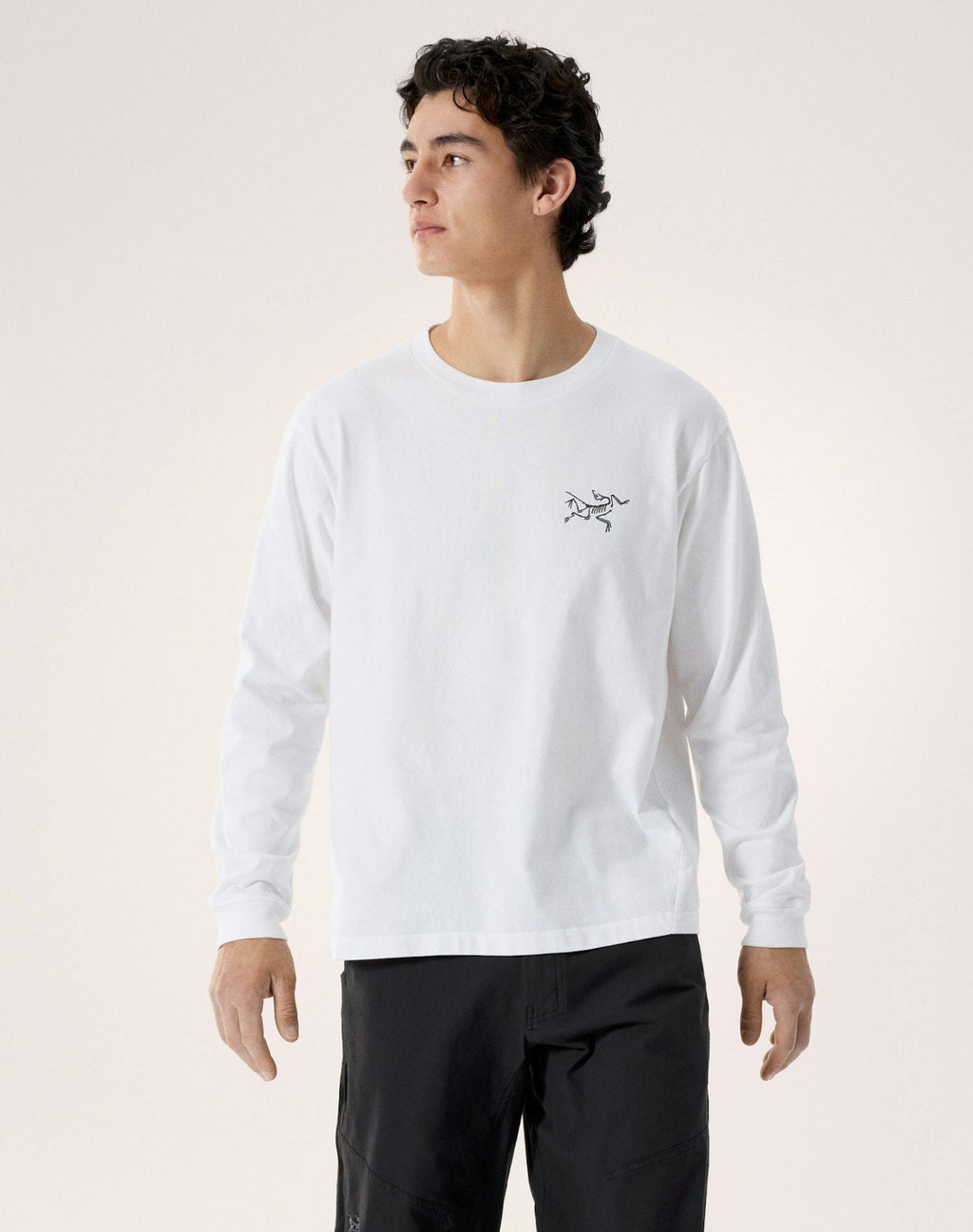 Arc'teryx Kragg Cotton Bird Crew Long Sleeve T-Shirt | Men's