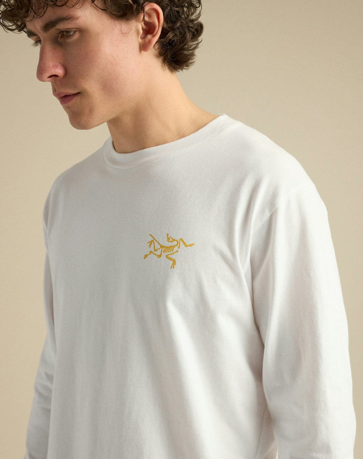 Arc'teryx Kragg Cotton Bird Crew Long Sleeve T-Shirt | Men's