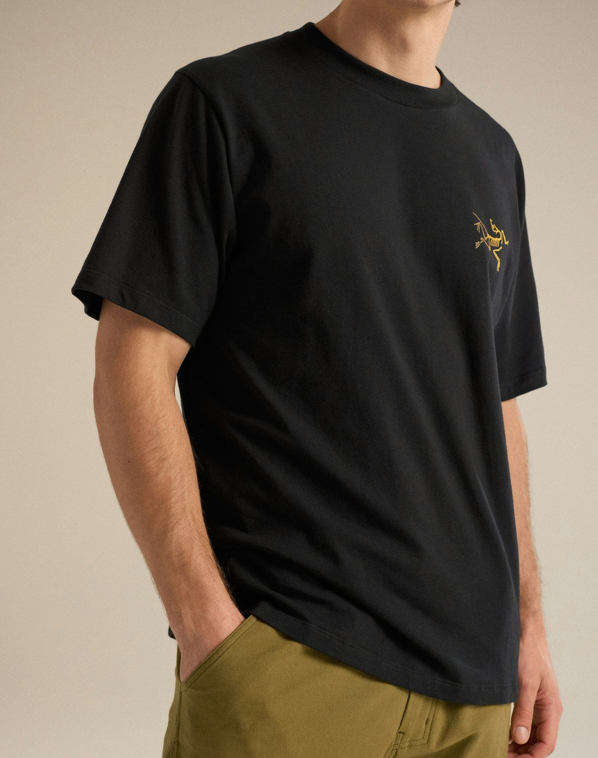 Arc'teryx Kragg Cotton Bird Crew Short Sleeve T-Shirt | Men's