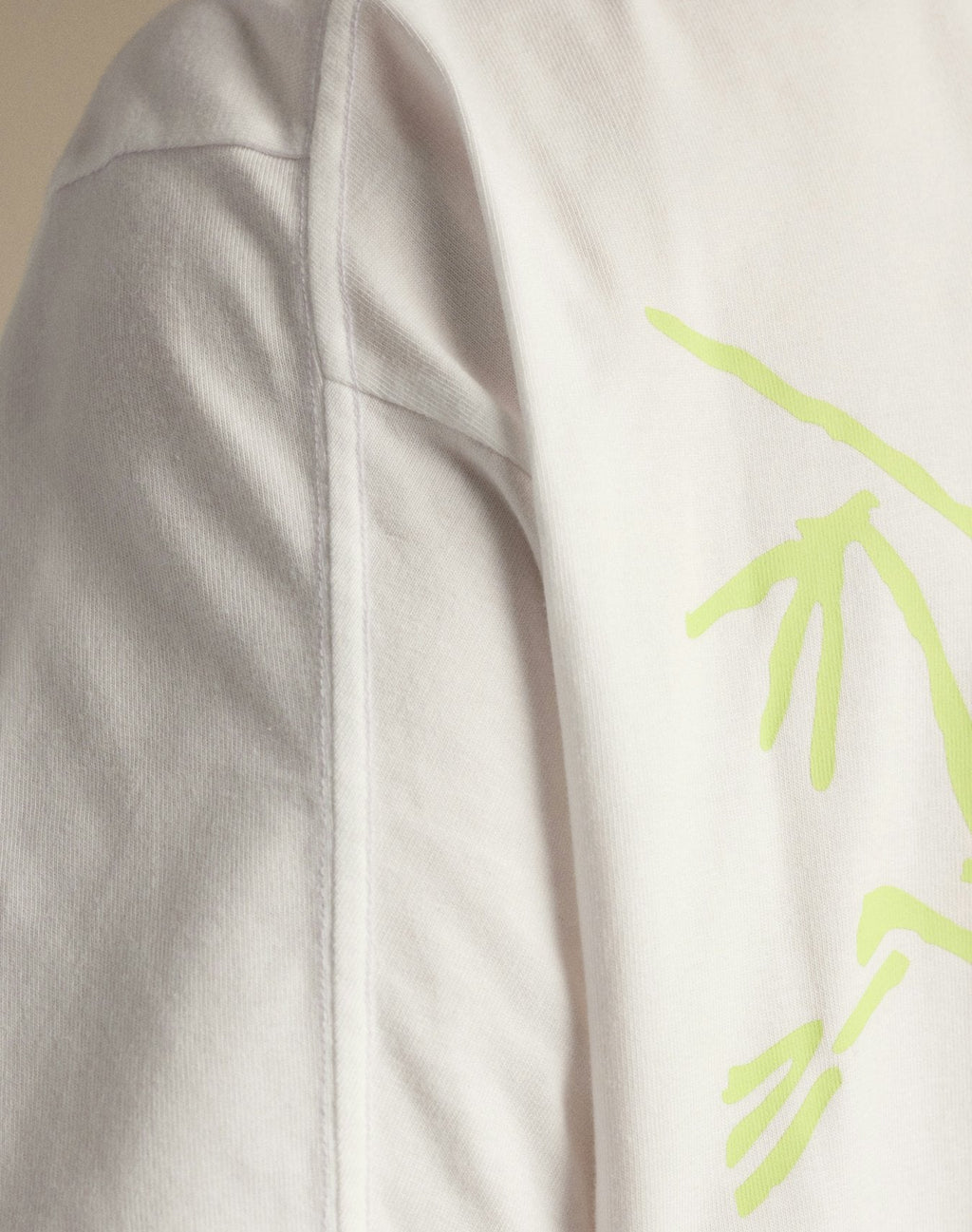 Arc'teryx Kragg Cotton Bird Crew Short Sleeve T-Shirt | Men's