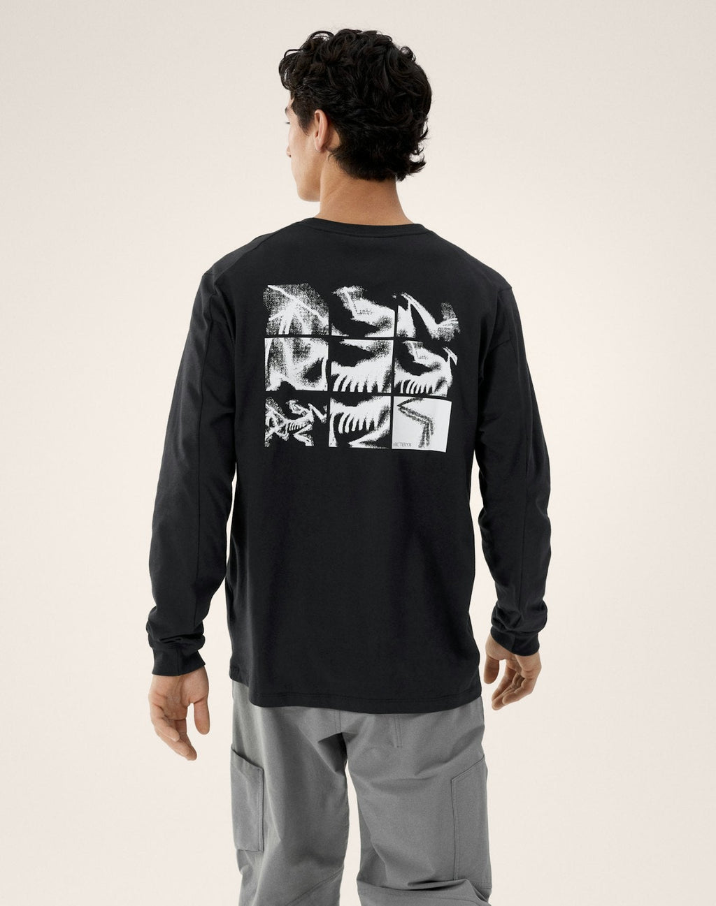 Arc'teryx Kragg Cotton Bird Crew Long Sleeve T-Shirt | Men's