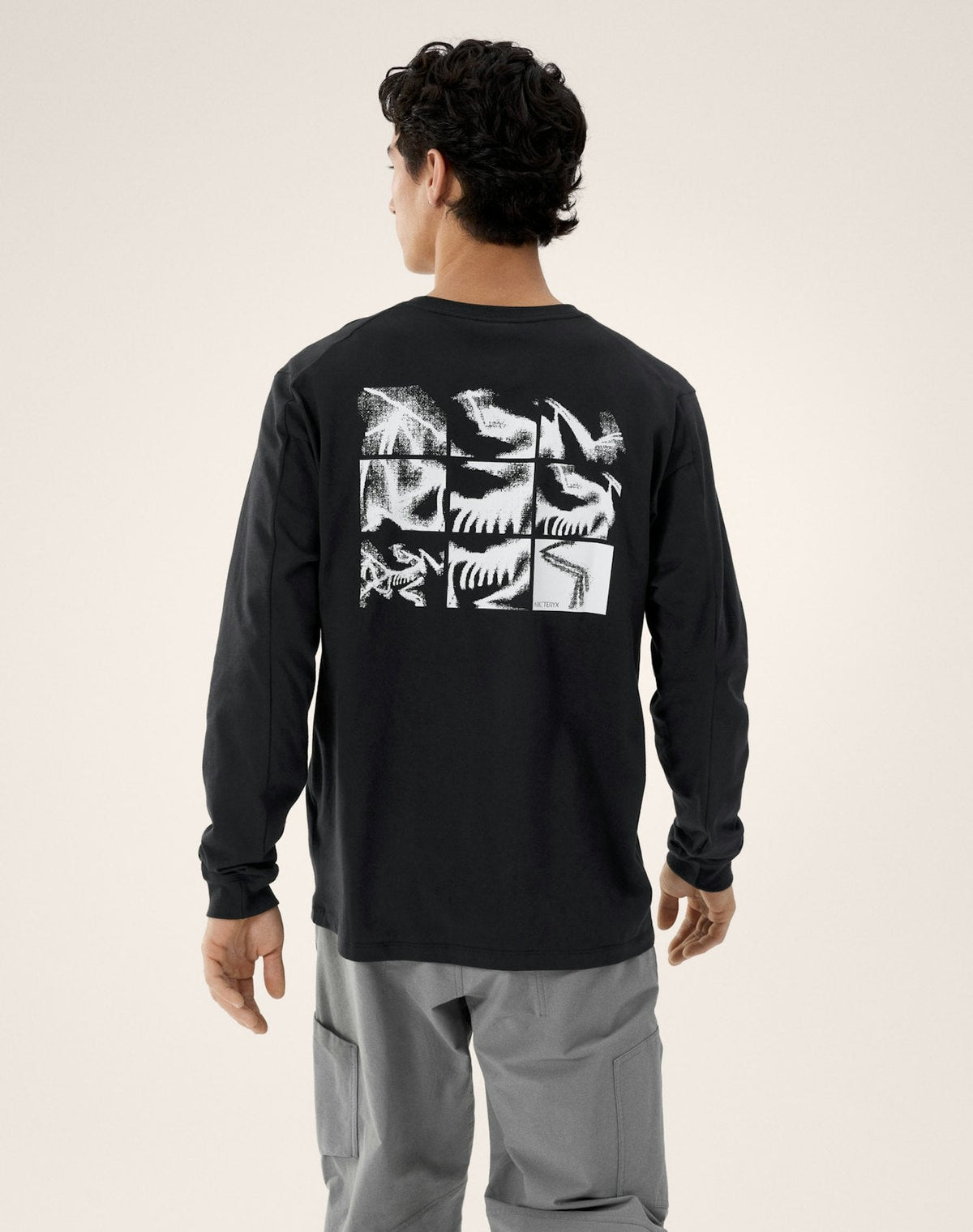 Arc'teryx Kragg Cotton Bird Crew Long Sleeve T-Shirt | Men's