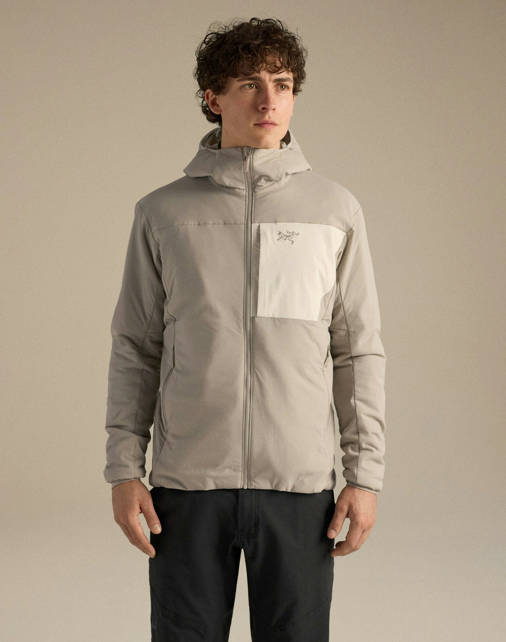 Arc'teryx Proton Men's Hoody – Rune / Sea Salt
