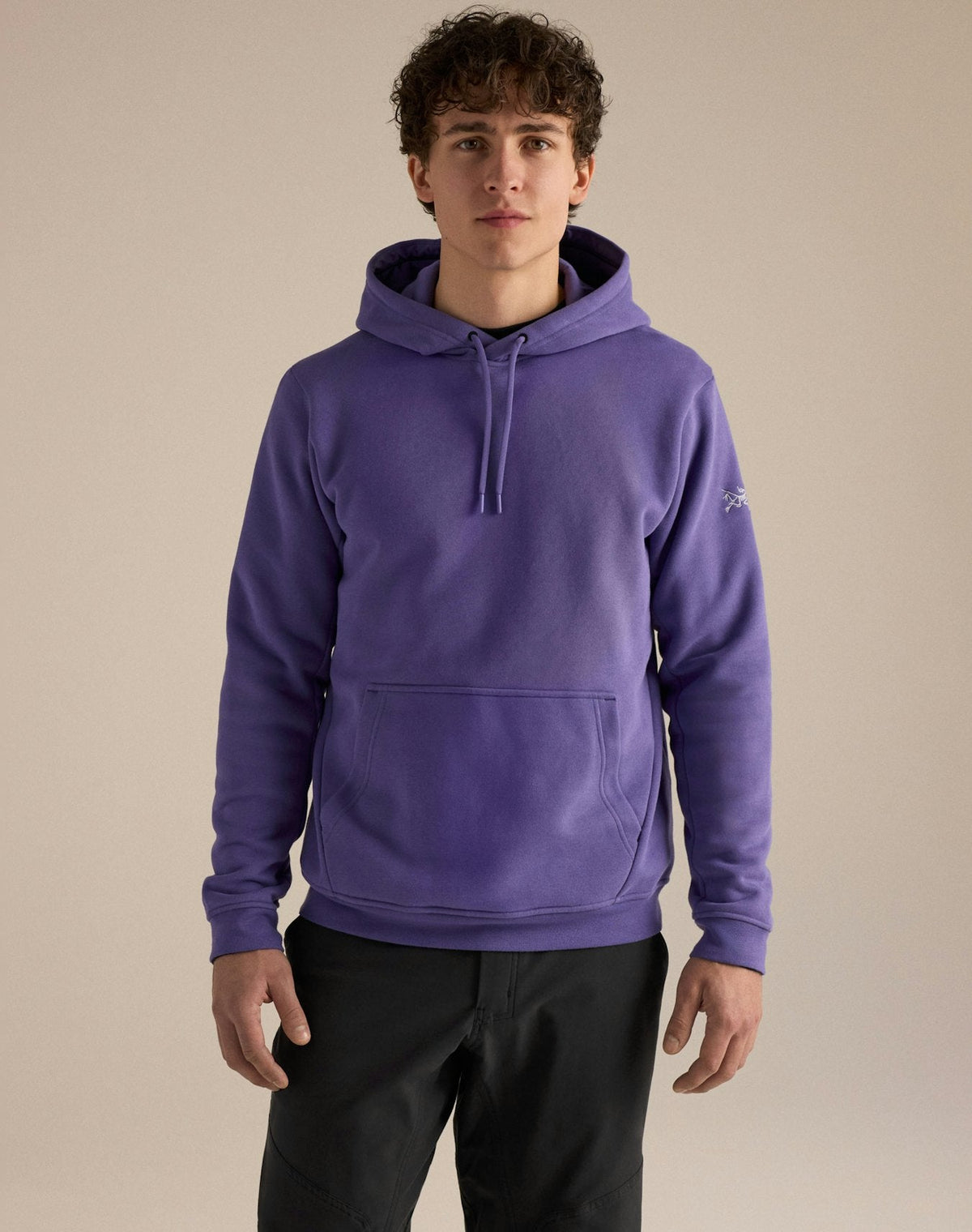 Arc'teryx Emblem Men's Fleece Hoody – Violet