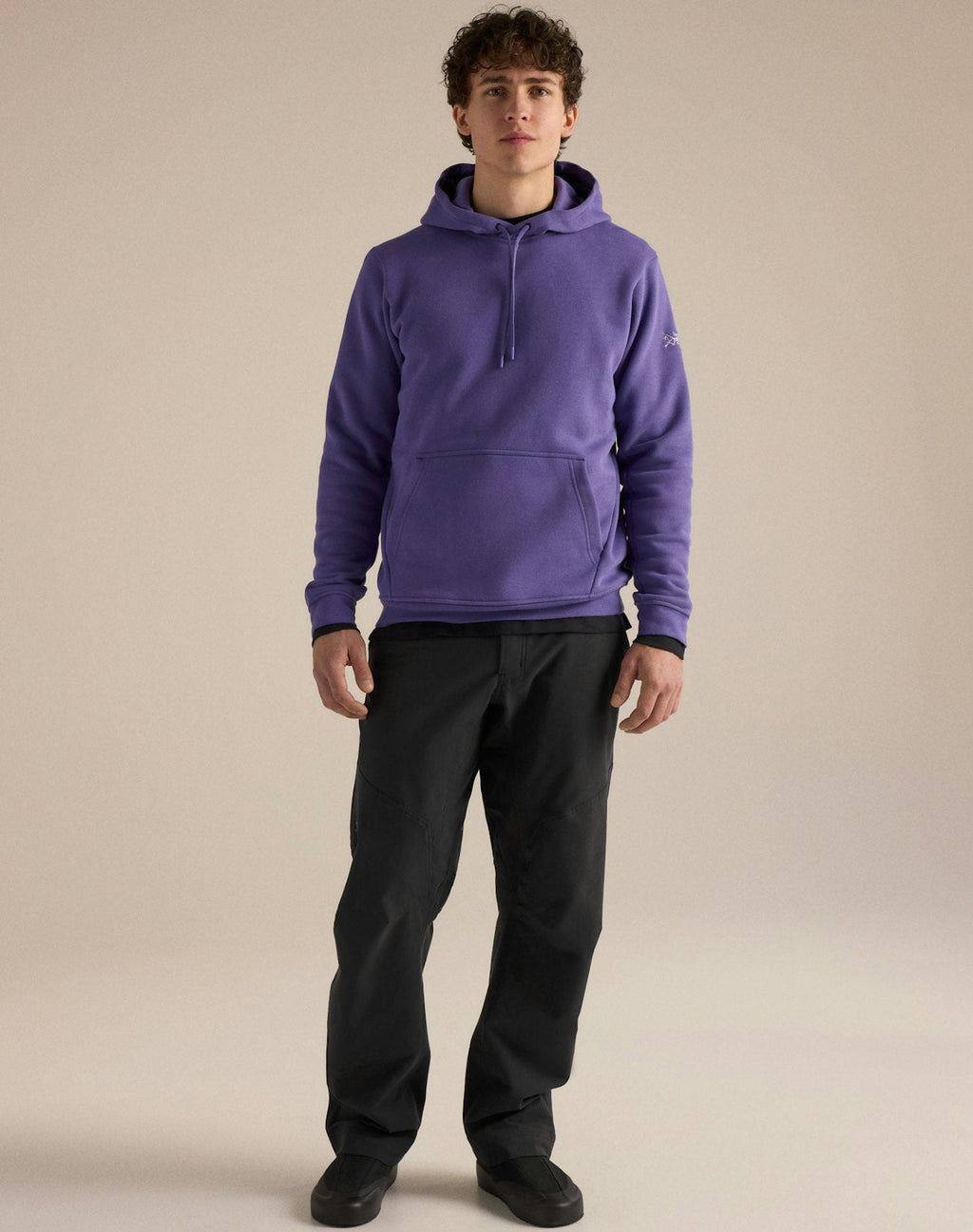 Arc'teryx Emblem Men's Fleece Hoody – Violet