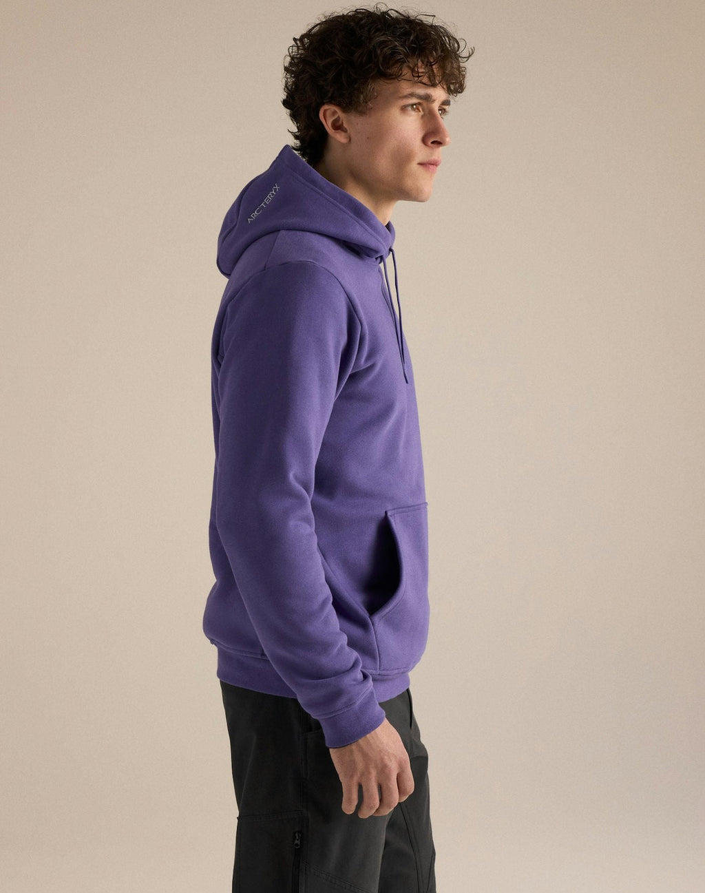 Arc'teryx Emblem Men's Fleece Hoody – Violet