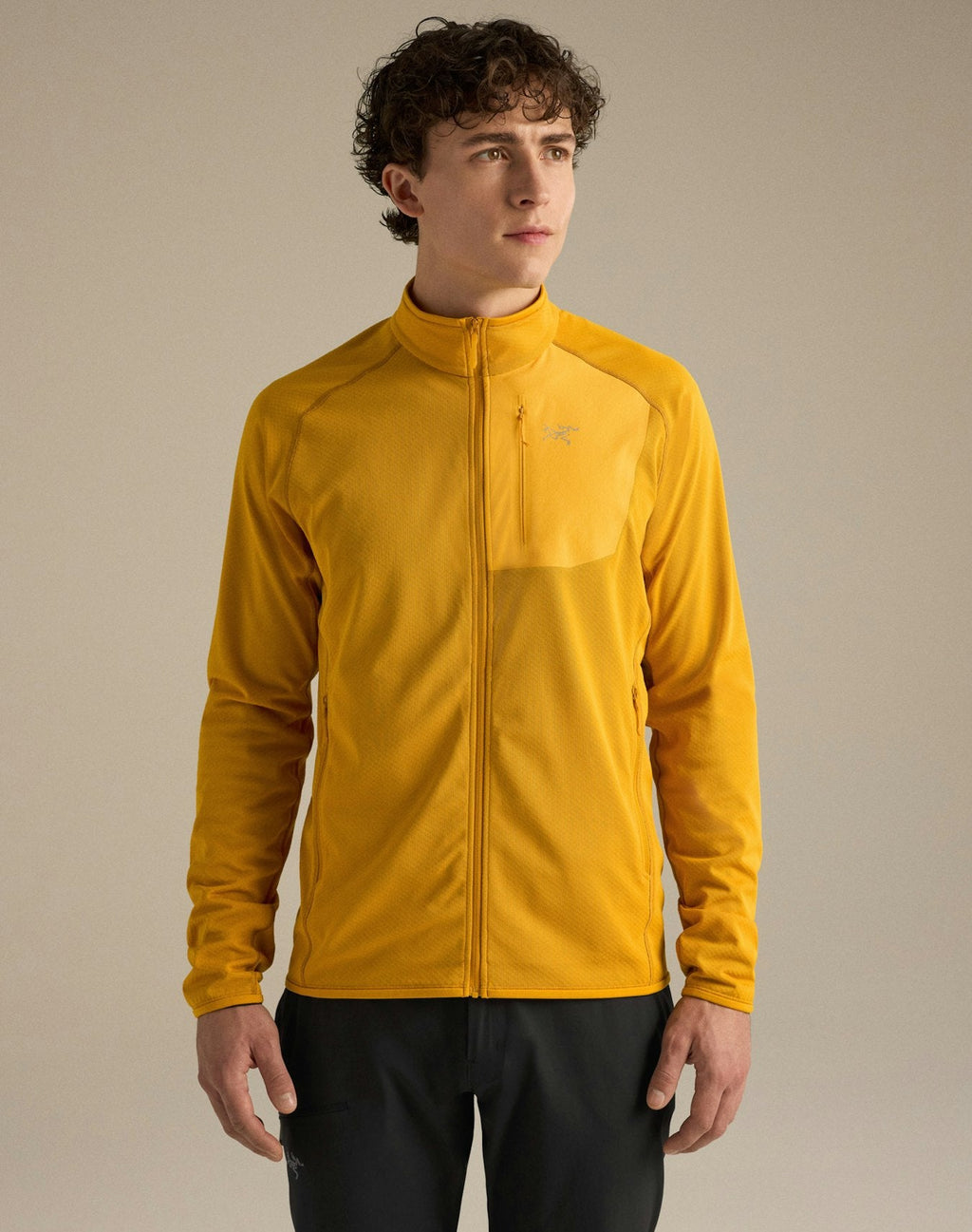 Arc'teryx Delta Men's Full-Zip Fleece Yellow Jacket