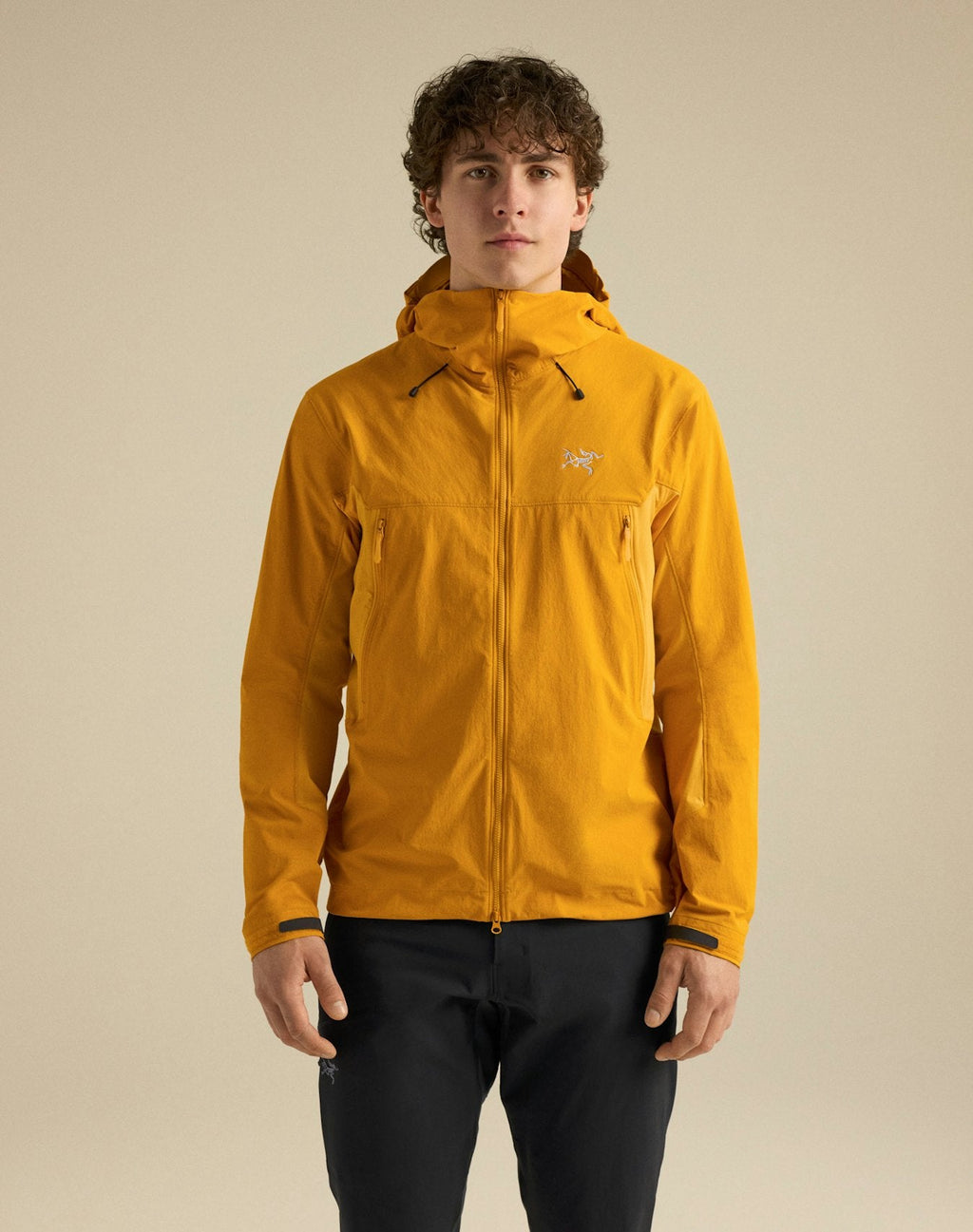 Arc'teryx Gamma MX Men's Hoody – Solaris