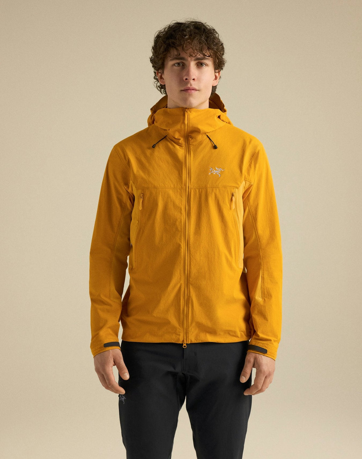 Arc'teryx Gamma MX Men's Hoody – Solaris
